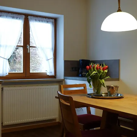 Ringelstein Apartment